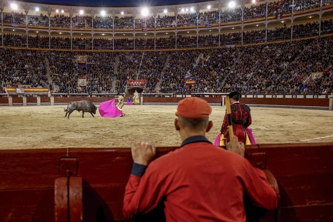 Intentan derogar el reconocimiento de la tauromaquia como cultura