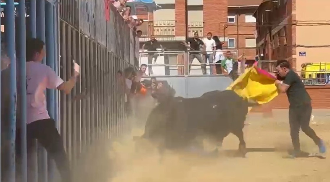 Herido un menor al ser cogido por un toro en las fiestas de San León