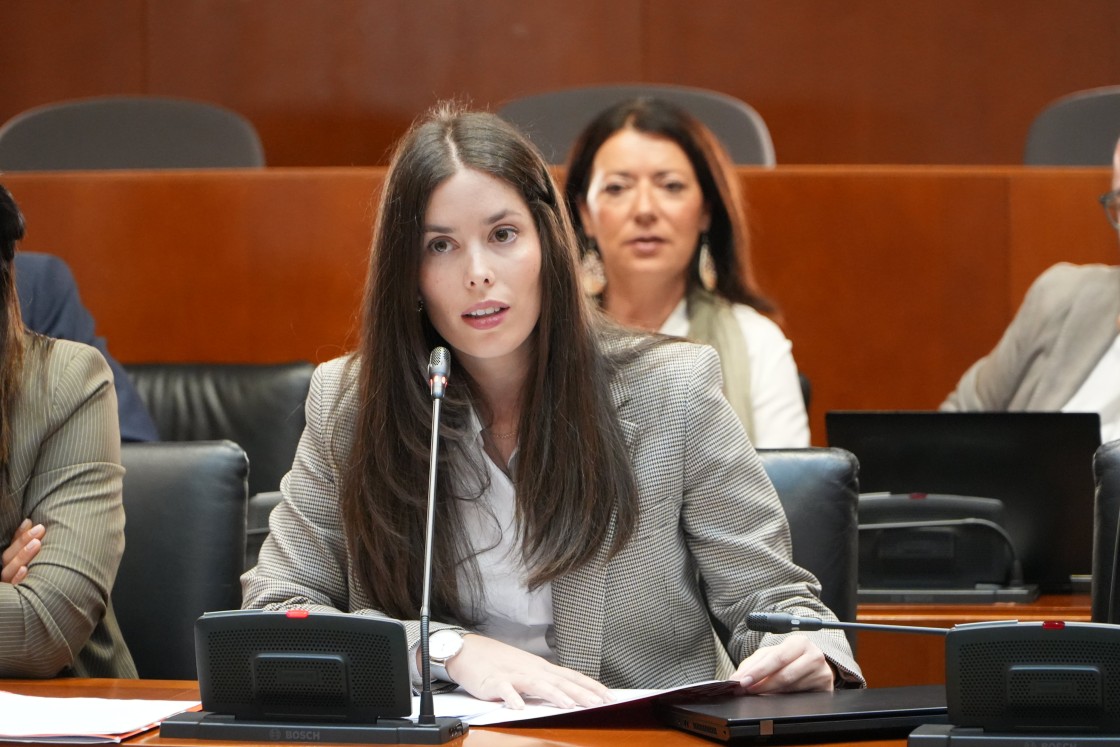 Las Cortes de Aragón solicitan que se estudie la incorporación del vial que une Cella con el aeropuerto a la red regional de carreteras