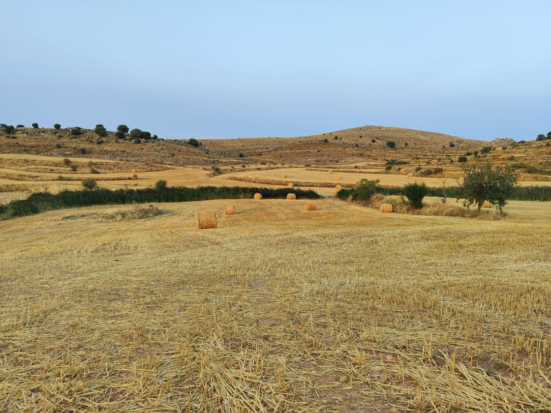 Las indemnizaciones de Agroseguro se aproximan  a los 9 millones de euros