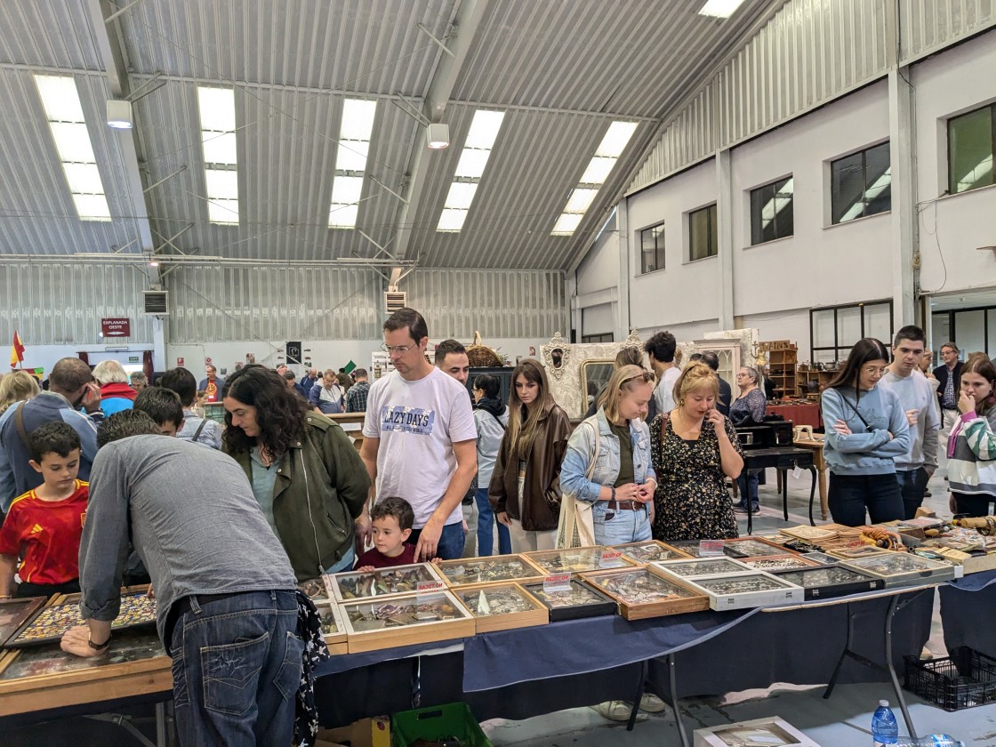 Calamocha acogerá la XIII Feria  de Antigüedades Antiquarius  los días 18 y 19 de octubre