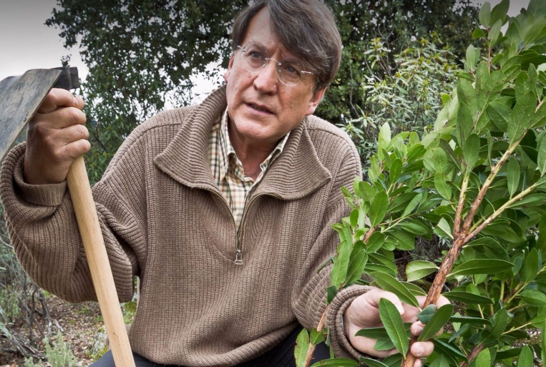 Joaquín Araujo, divulgador medio ambiental: “No puedes arrasar el paisaje para luchar contra el cambio climático”
