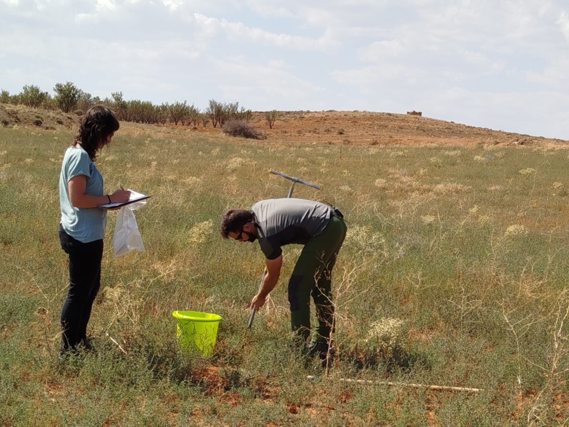 Teruel y Alcalá acogen un encuentro sobre gestión sostenible de los suelos agrarios