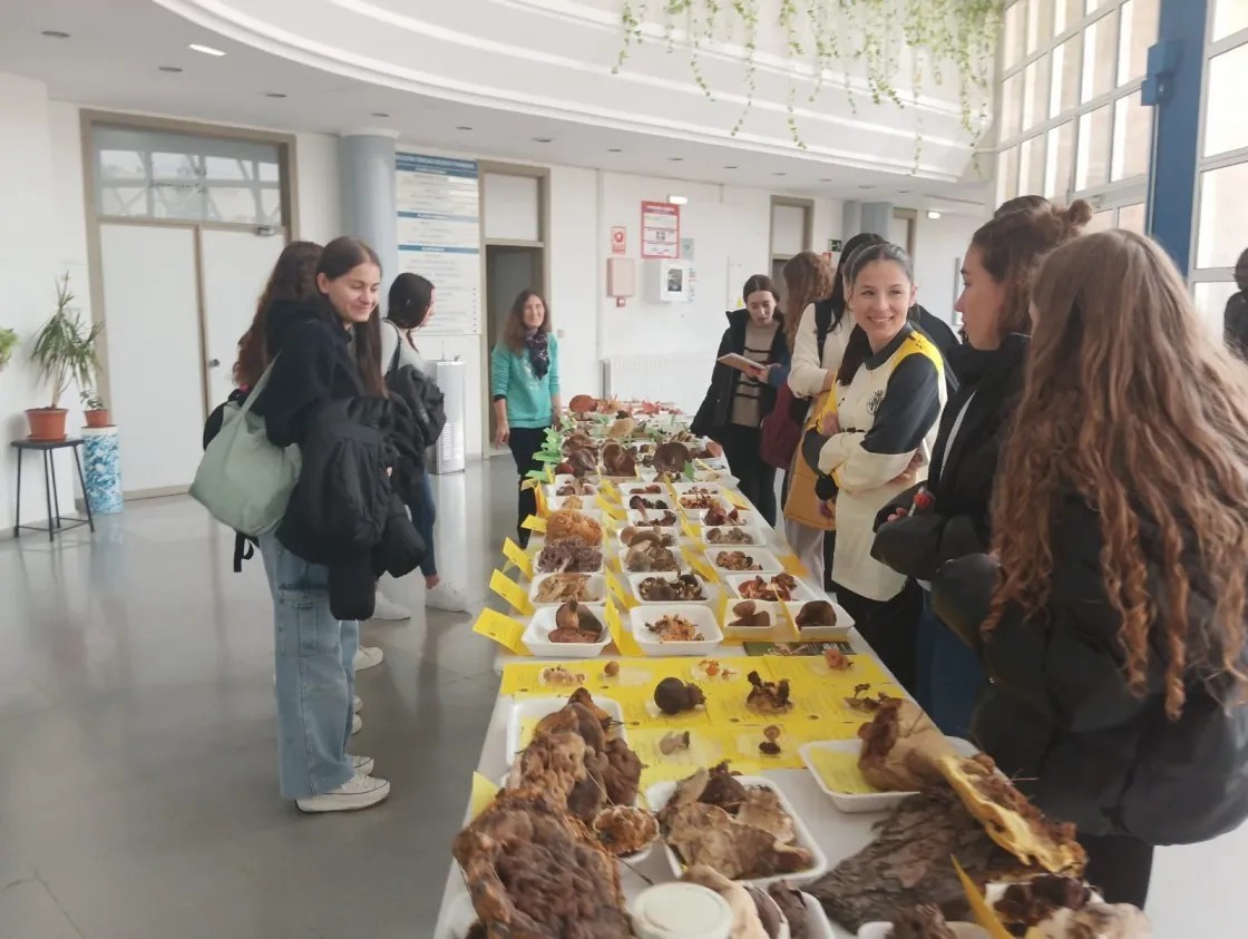 El Campus de Teruel organiza sus tradicionales jornadas micológicas