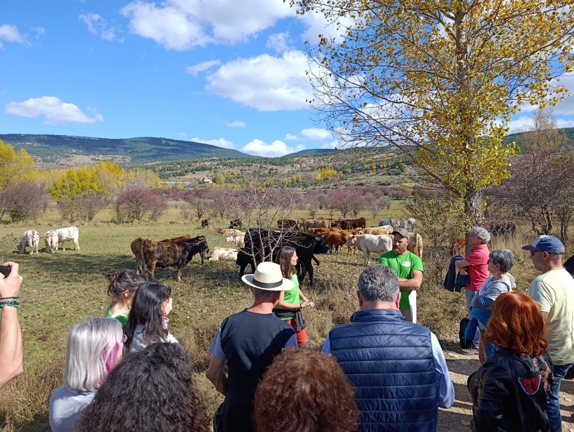 La erosión y la fertilidad de los suelos agrarios centran el debate de InterVegas
