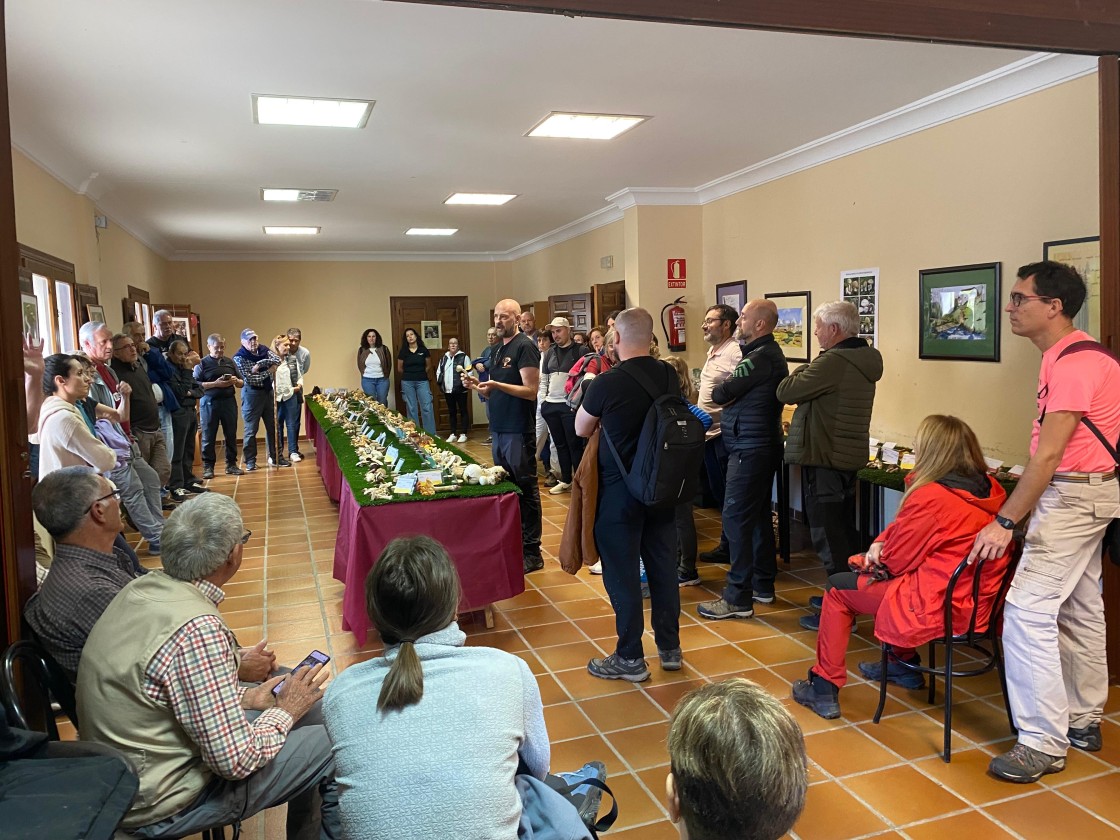 Formiche muestra su riqueza micológica con talleres y gastronomía
