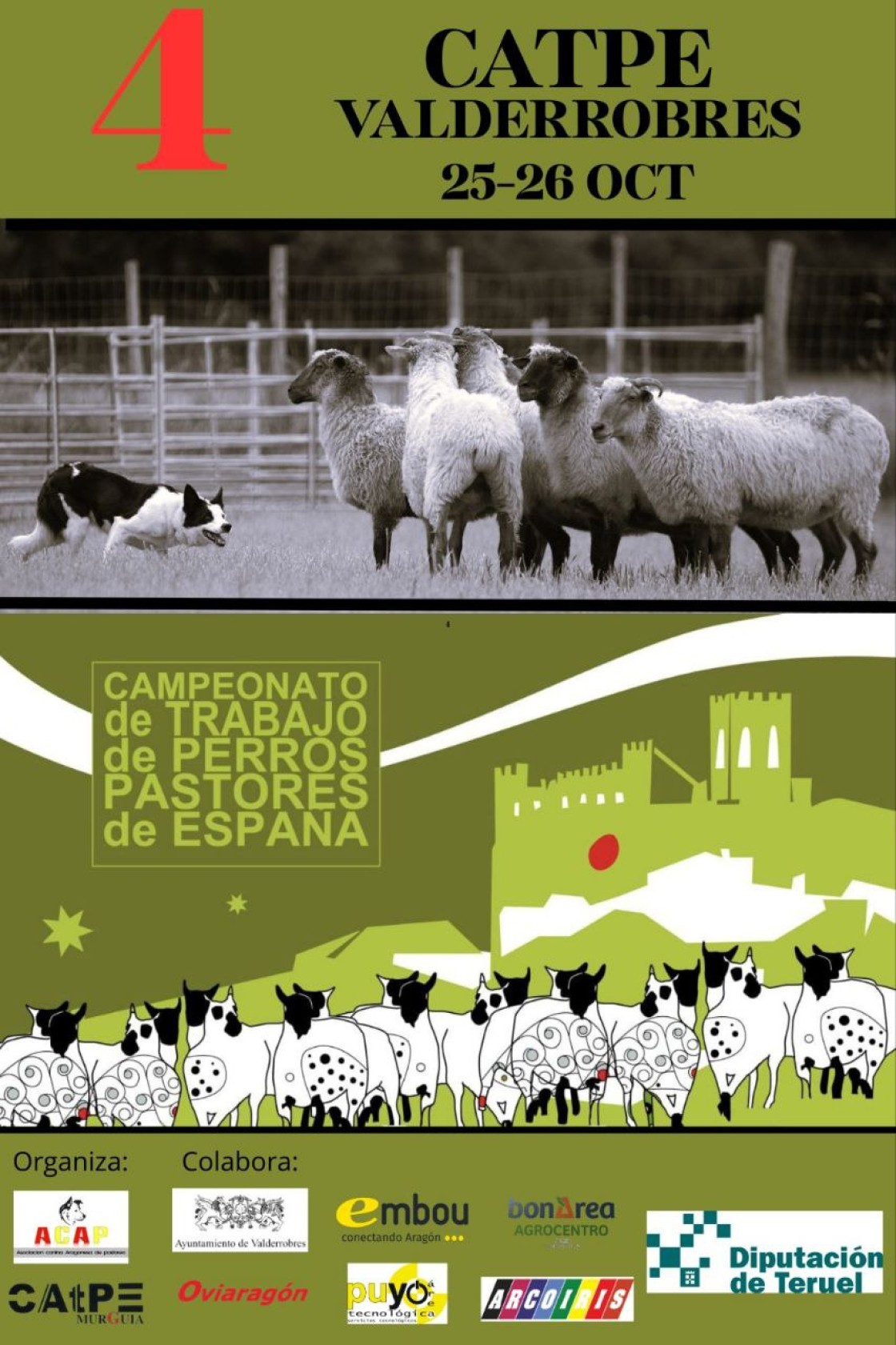 Vuelve a Valderrobres el Campeonato de Trabajo de Perros Pastores de España