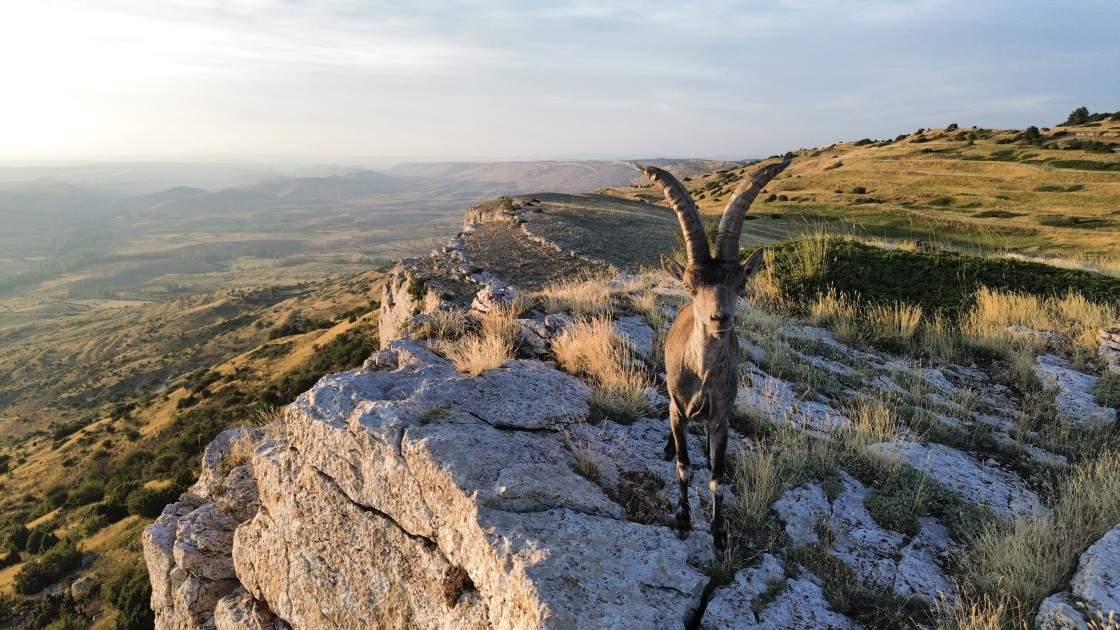 El voto popular en el Concurso de Fotografía  es para Francisco Bueso