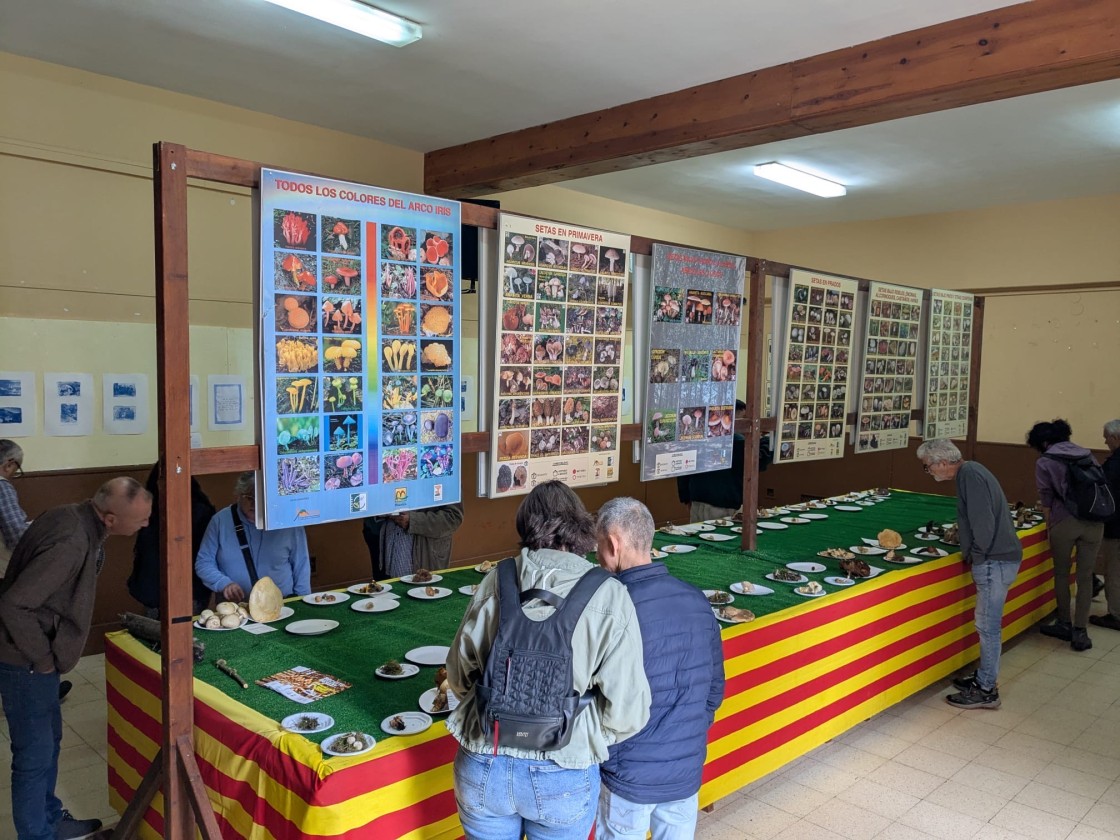 Beceite se llena de aromas en las XXVI Jornadas Micológicas y el XXVIII Día dels Bolets
