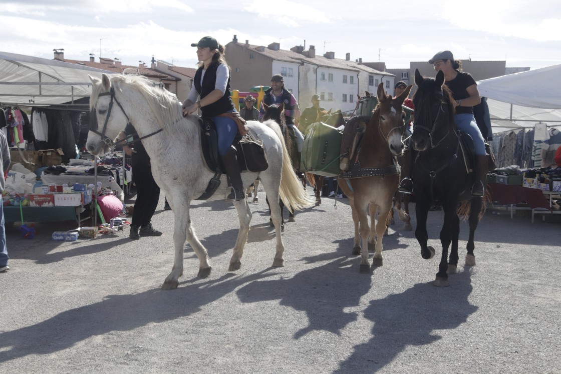 Los ganaderos, “relativamente tranquilos” ante las medidas de sanidad animal