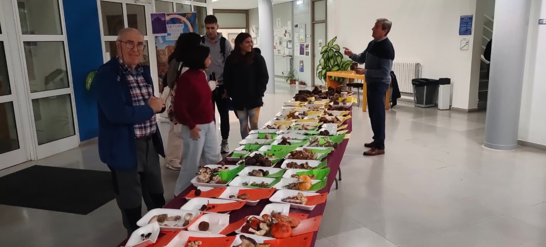 Las Jornadas Micológicas en el Campus muestran  la riqueza de Teruel