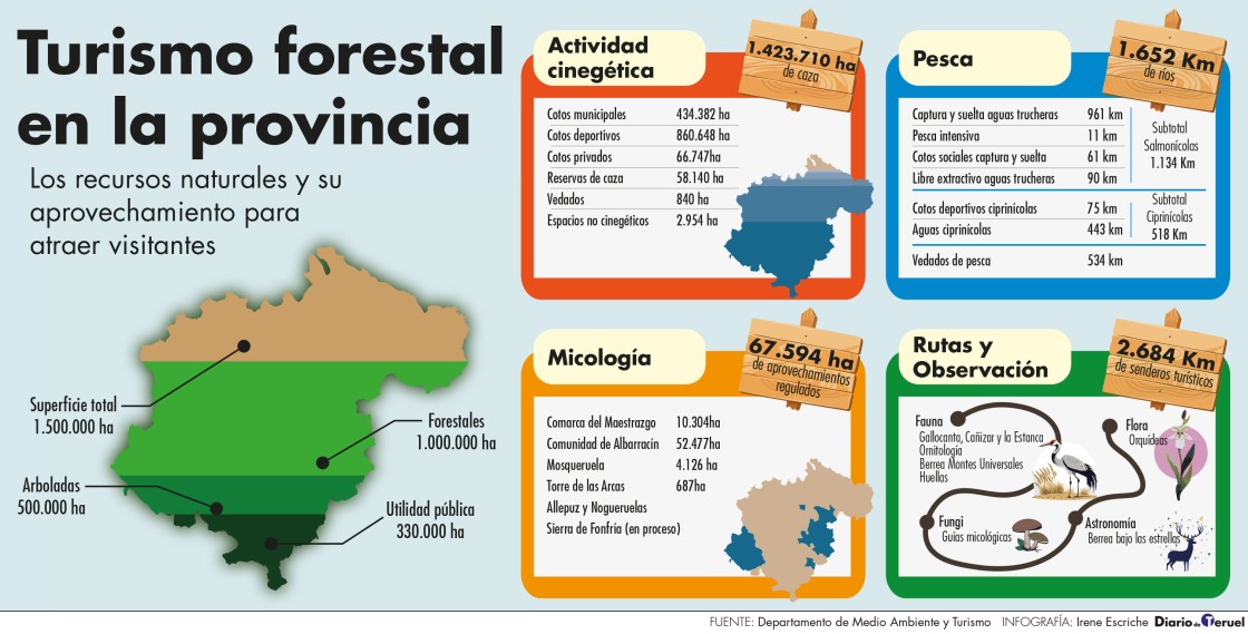 De caza a setas pasando por la berrea, el monte de Teruel es garantía de ocio