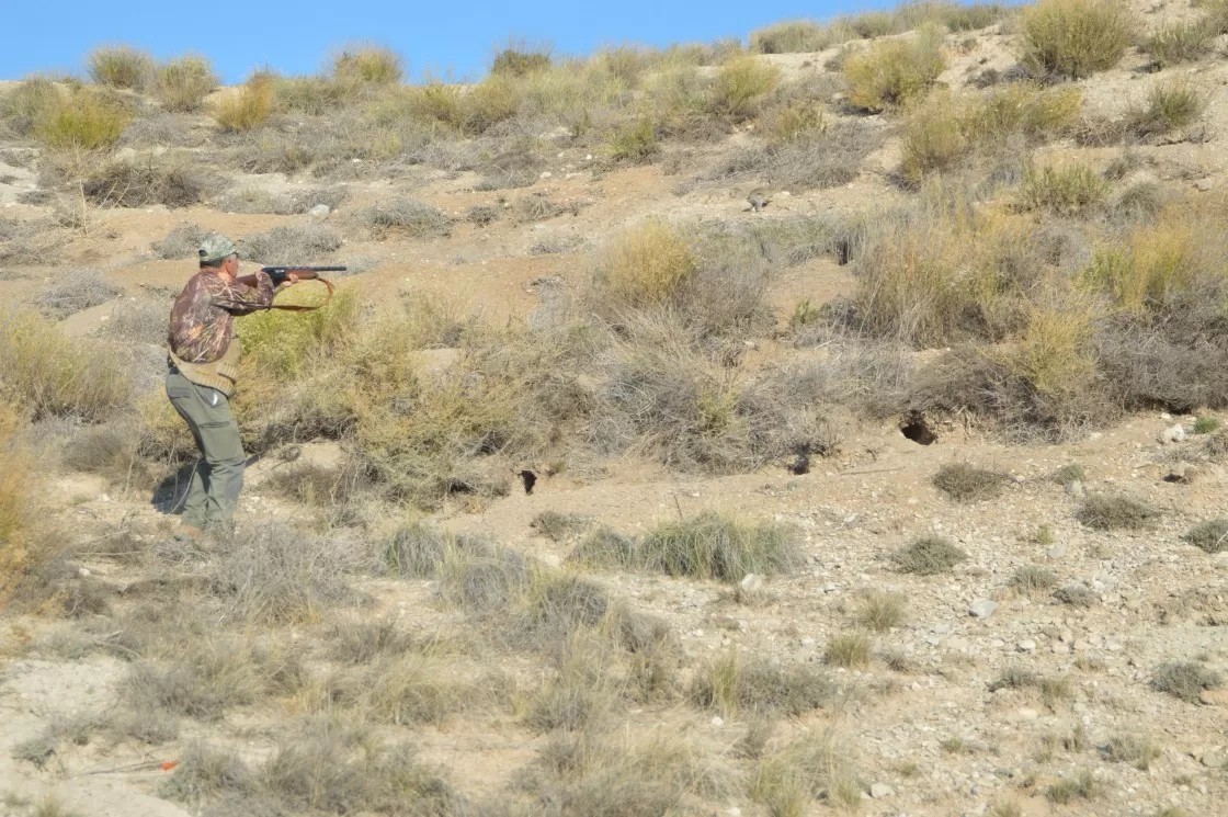 La temporada de caza empieza con un número similar de cazadores y muchas más perdices