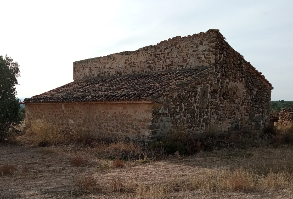 El Taller de Arqueología pide BIC para el “masico romano” hallado en Alcañiz