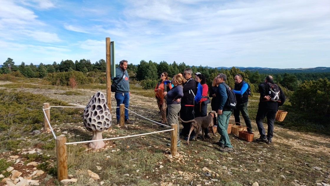 Las actividades de promoción del Coto Micológico concluyen con una charla en Villarroya de los Pinares