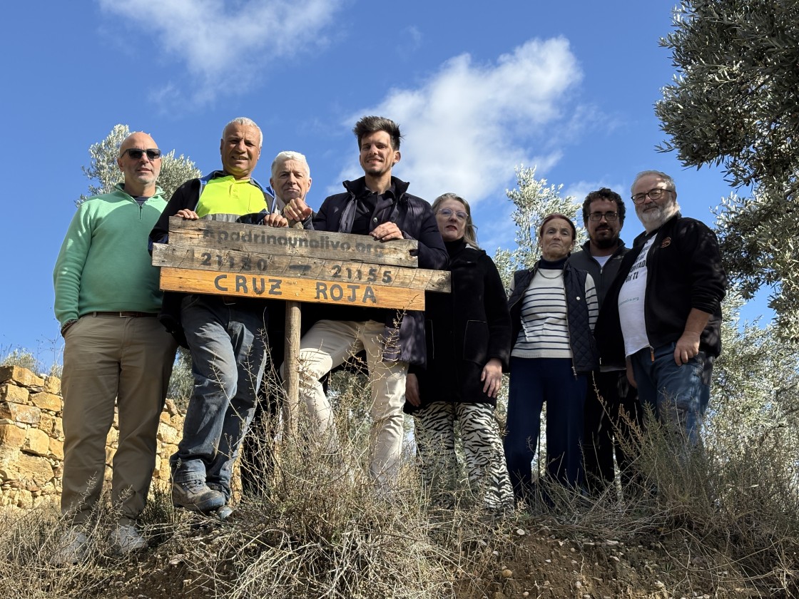 Apadrina un Olivo y Cruz Roja donarán 816 litros de aceite a familias vulnerables de Teruel
