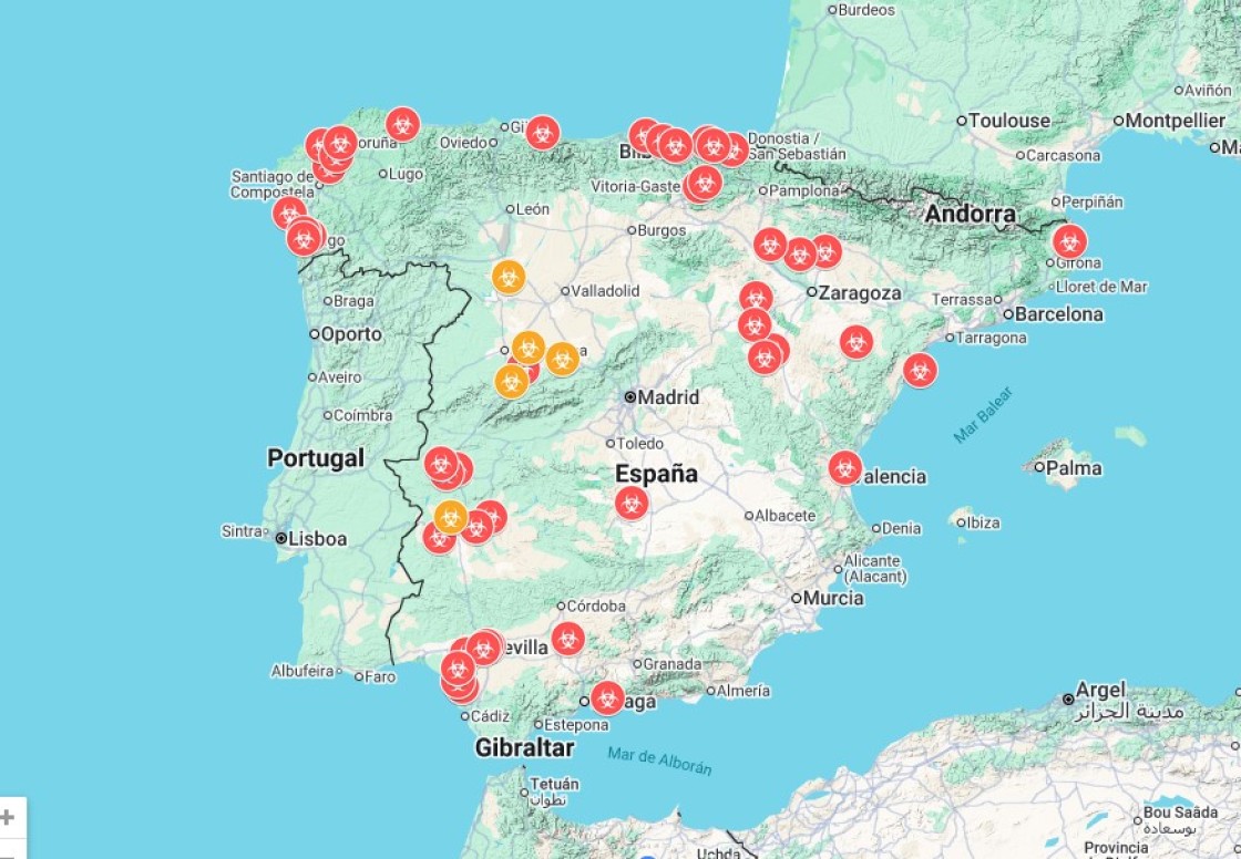 En España hay 68 focos de  aves silvestres y catorce de corral