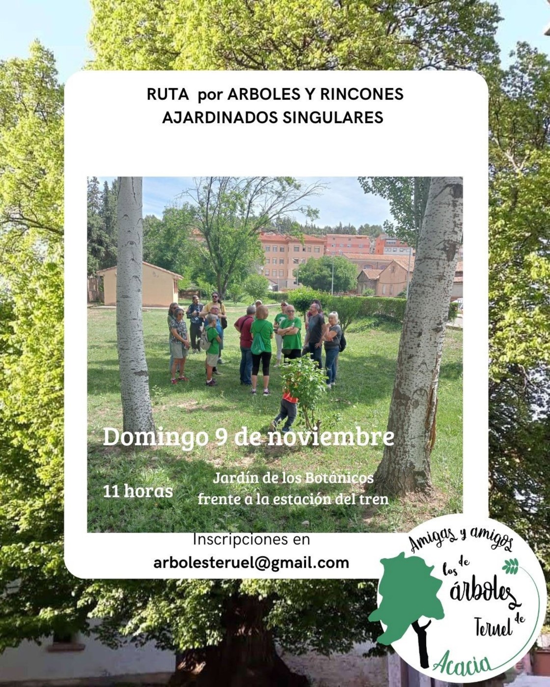 La Asociación Acacia anima a participar este domingo en una ruta de árboles singulares por Teruel