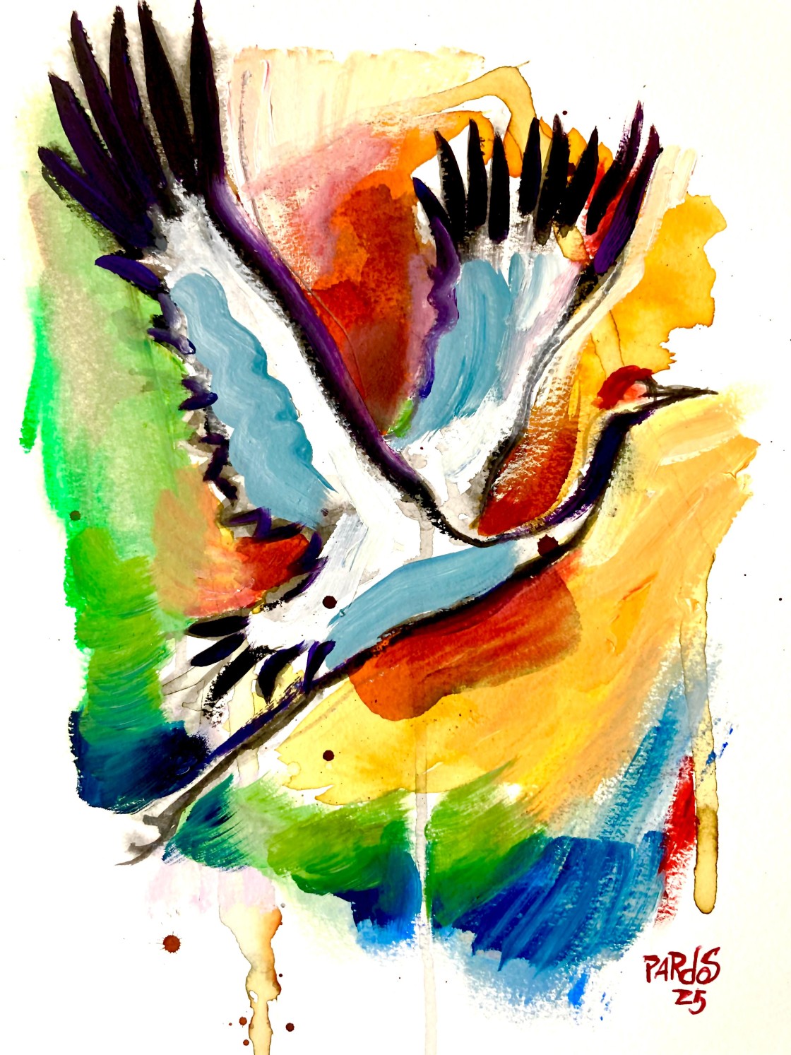 Carlos Pardos expone ‘Naturaleza viva’ en la sala Simbiosis de Zaragoza