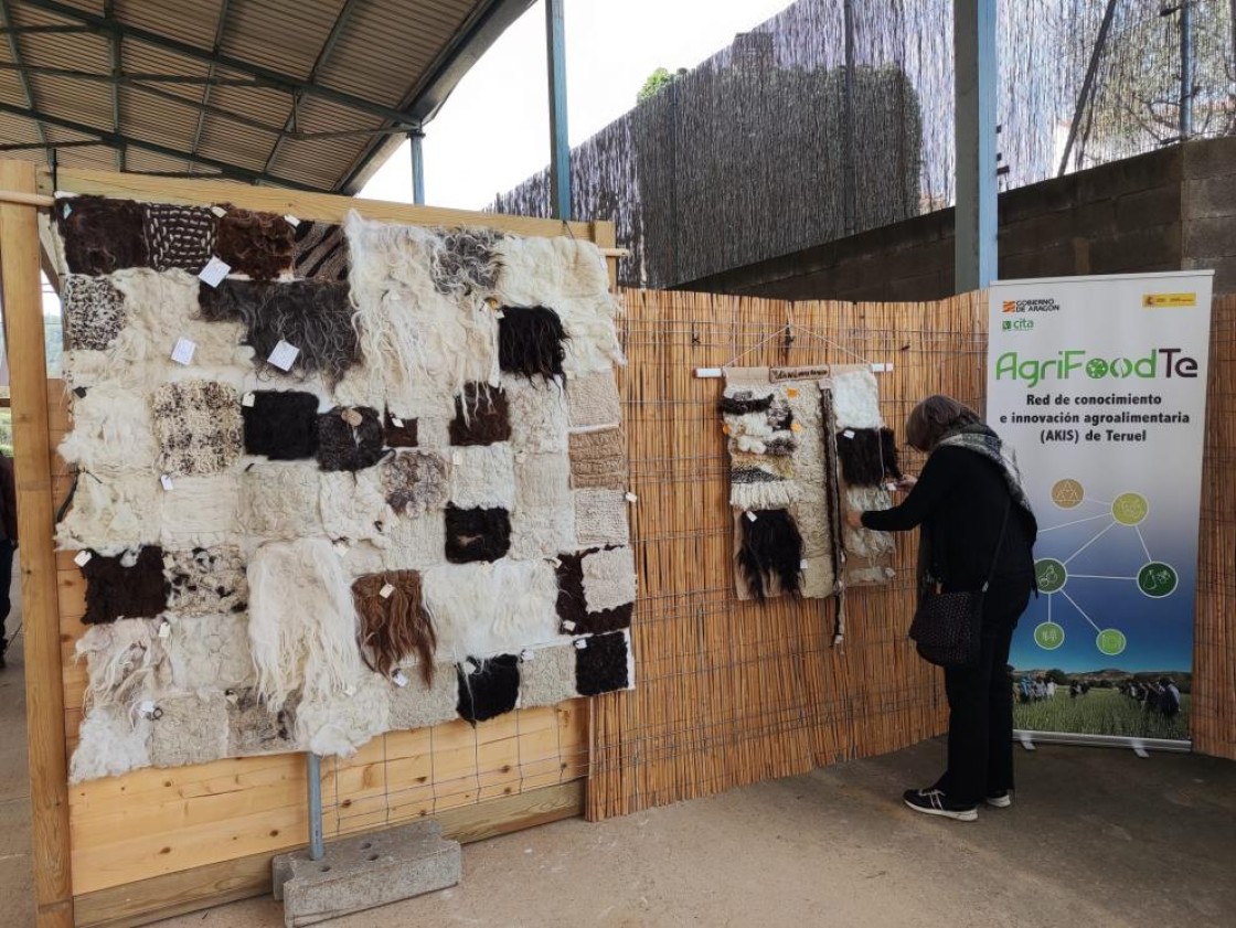 Arens de Lledó acogerá  la II Feria de la Lana con  el Cita como coordinador