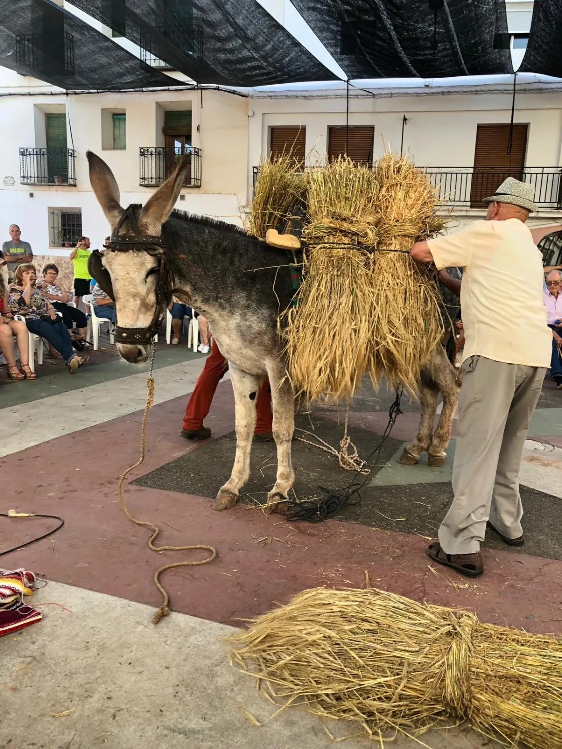 Torres de Albarracín celebrará de nuevo la fiesta del Orgullo Rural