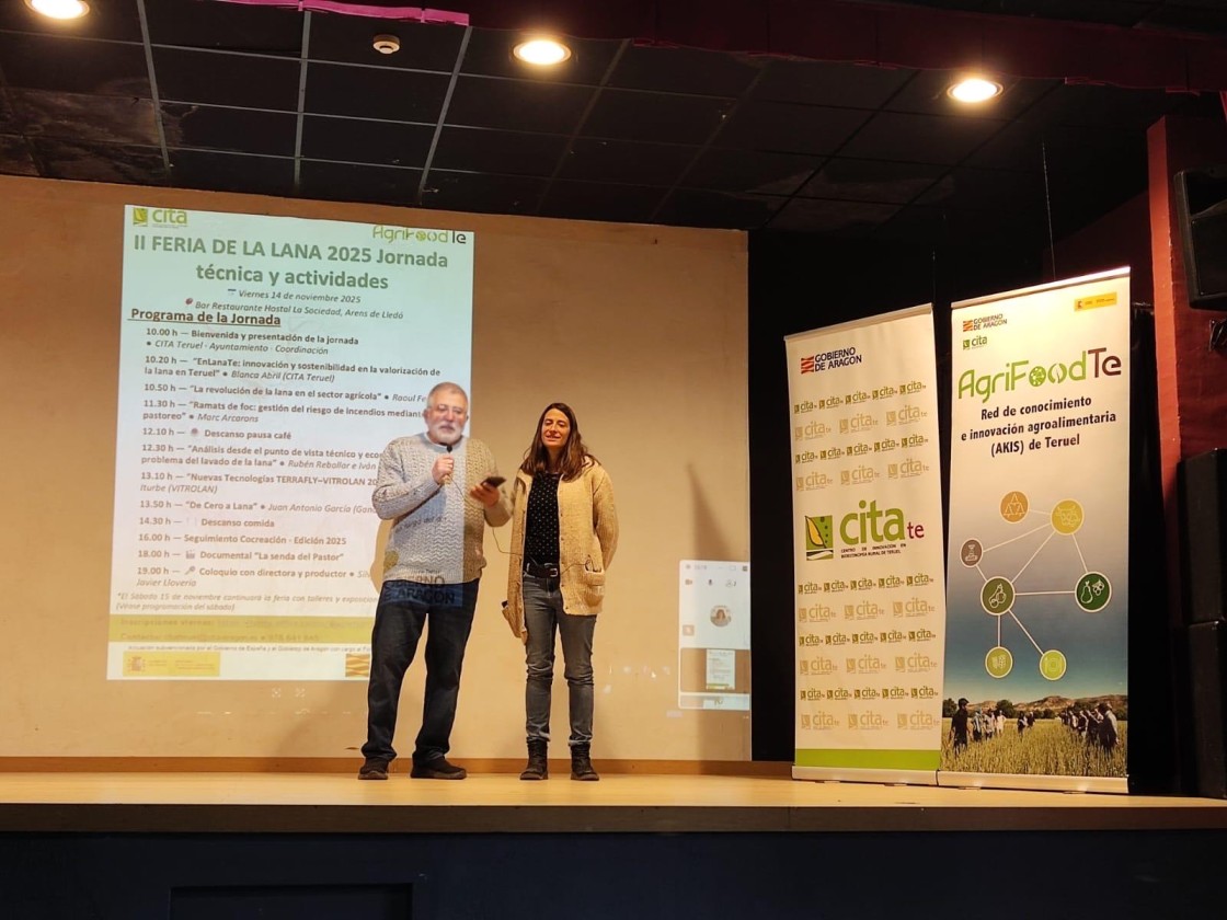 La localidad de Arens de Lledó hace de la lana su bandera este fin de semana