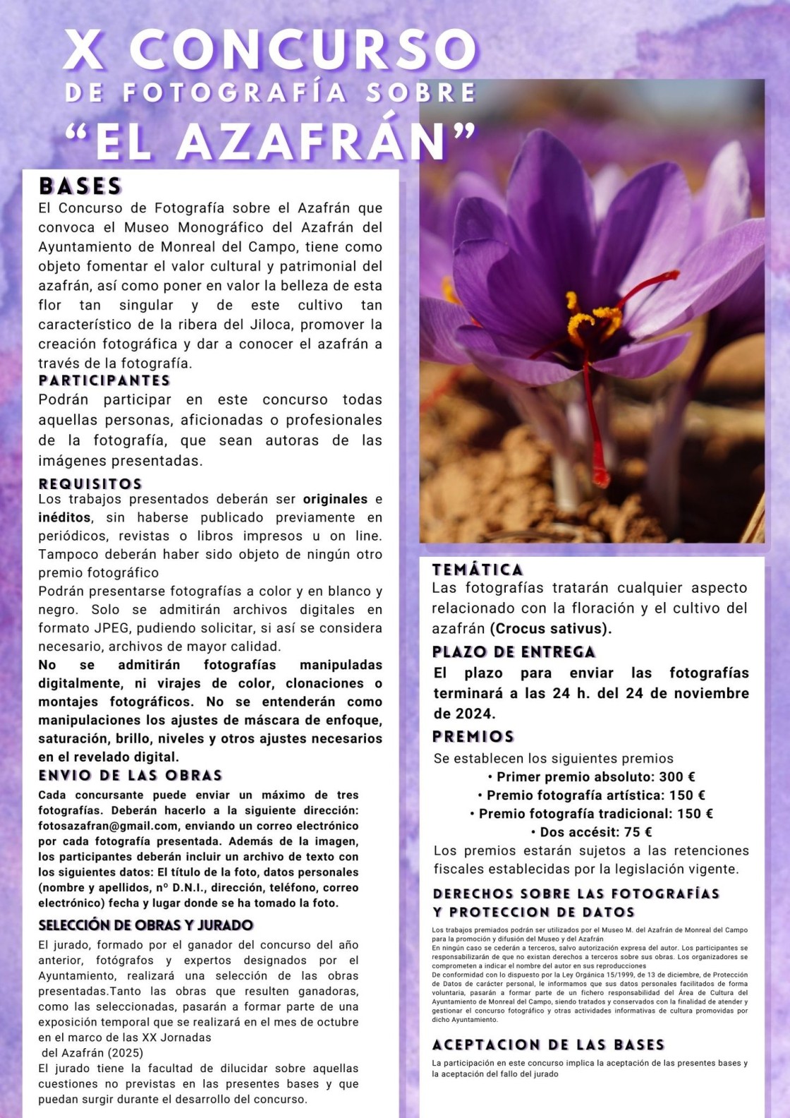 Monreal del Campo convoca el X Concurso de Fotografía sobre el azafrán