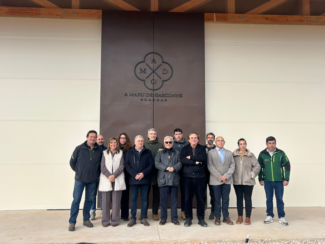 La Asociación de Bodegas del Matarraña avanza hacia la futura DO con Agricultura