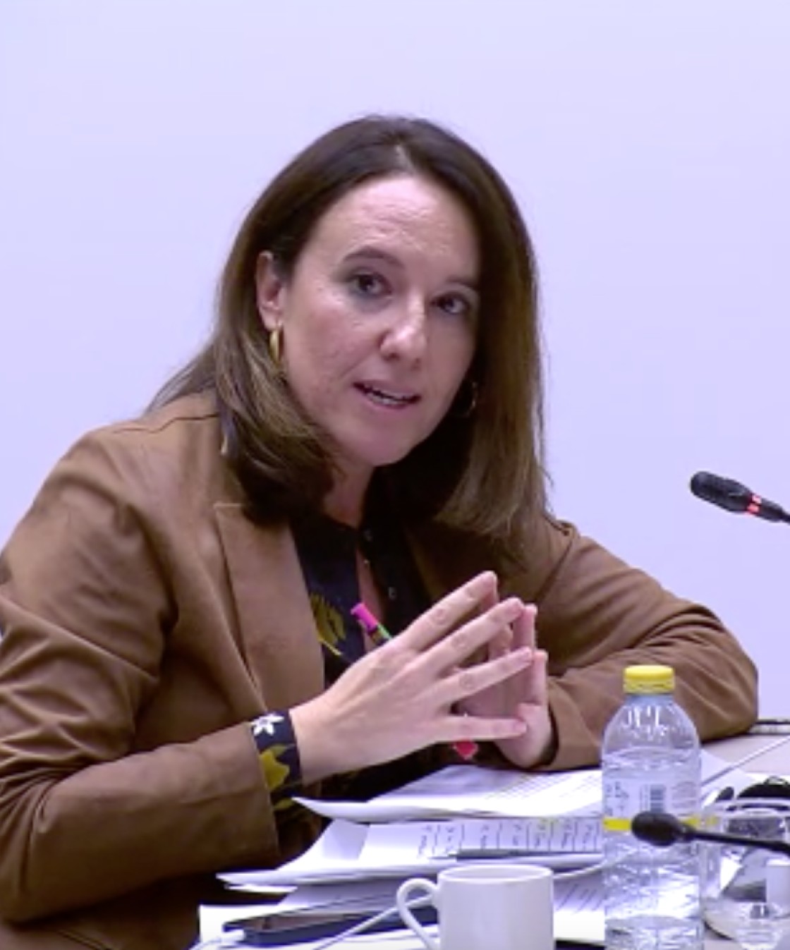 Prospera en el Congreso la PNL del PP para modificar la estrategia del reto demográfico