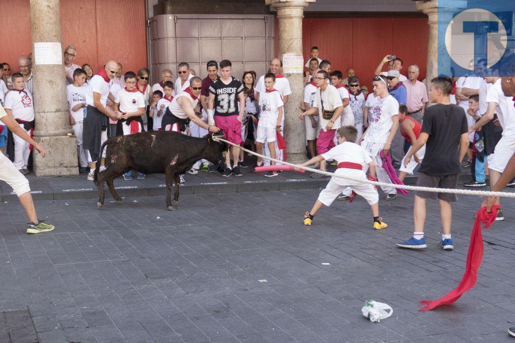 La vaquillas ensogadas de la mañana contribuyen a mantener viva la tradición turolense
