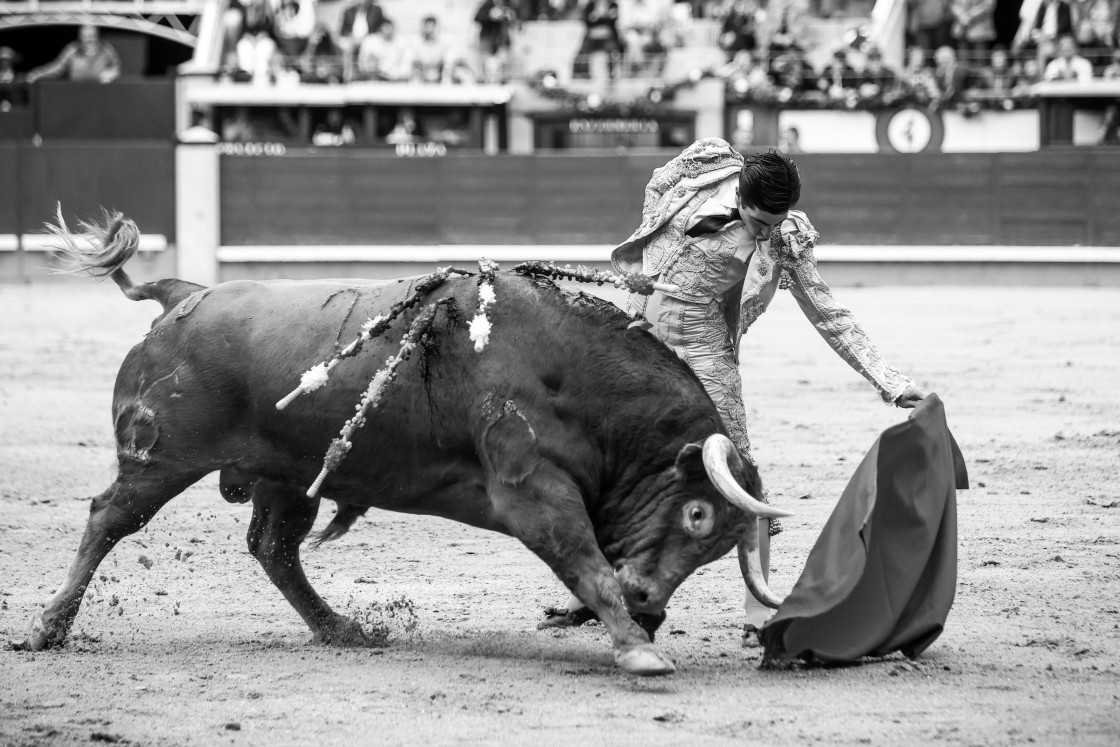 Álvaro Lorenzo, torero: “El torero es un artista que transmite lo que tiene, con la dificultad de acoplarse al animal”