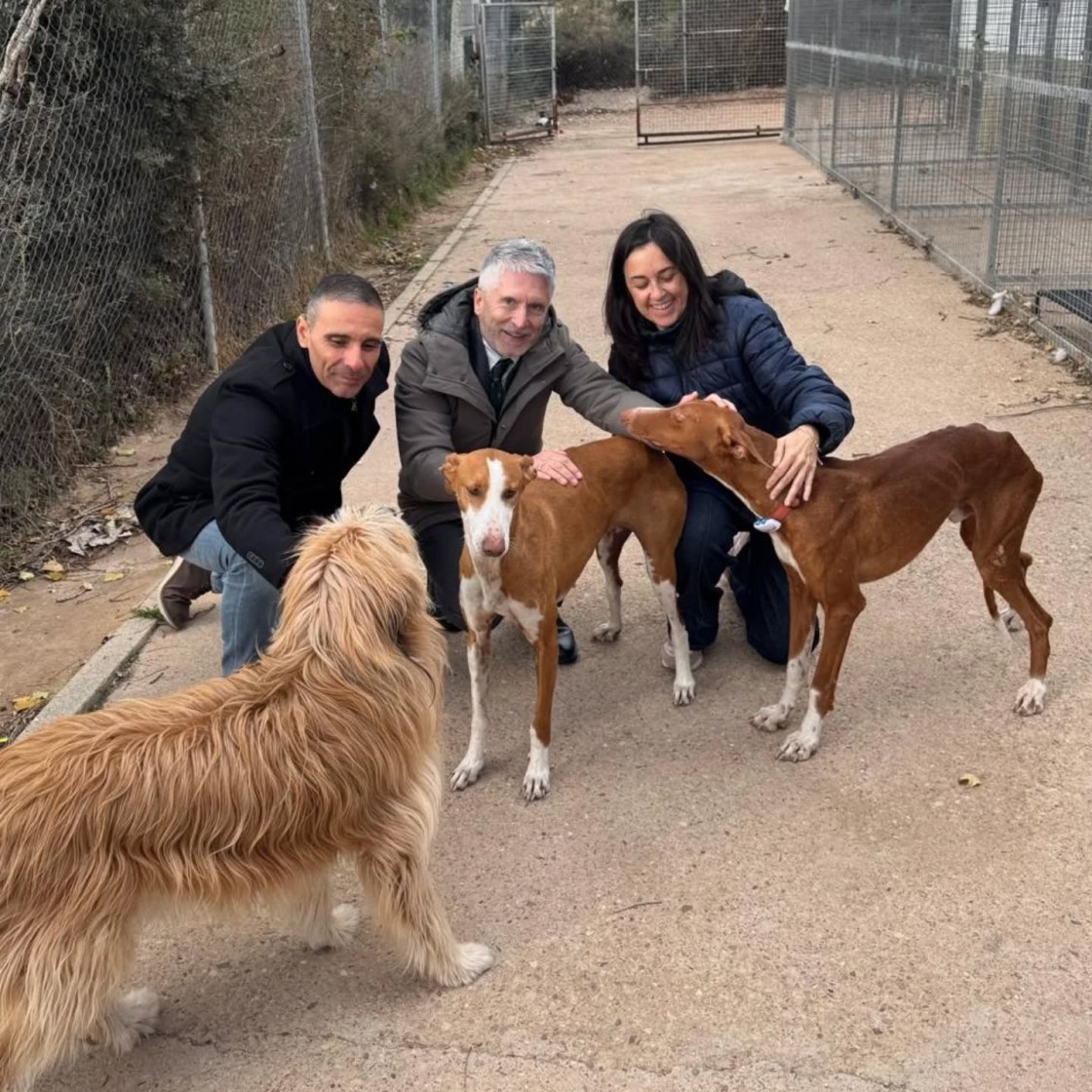 El ministro Marlaska visita la protectora de Utrillas y se interesa por sus perros y gatos