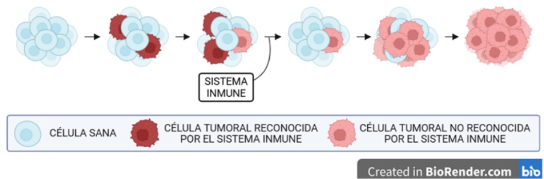 IET: La eterna persecución en busca de la cura del cáncer
