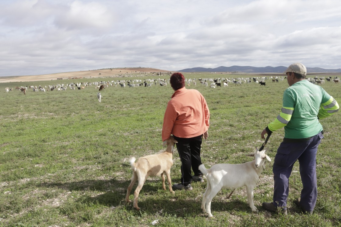 EntreCabritos protagoniza la docuserie ‘Granjas en acción’, en el canal D-Max