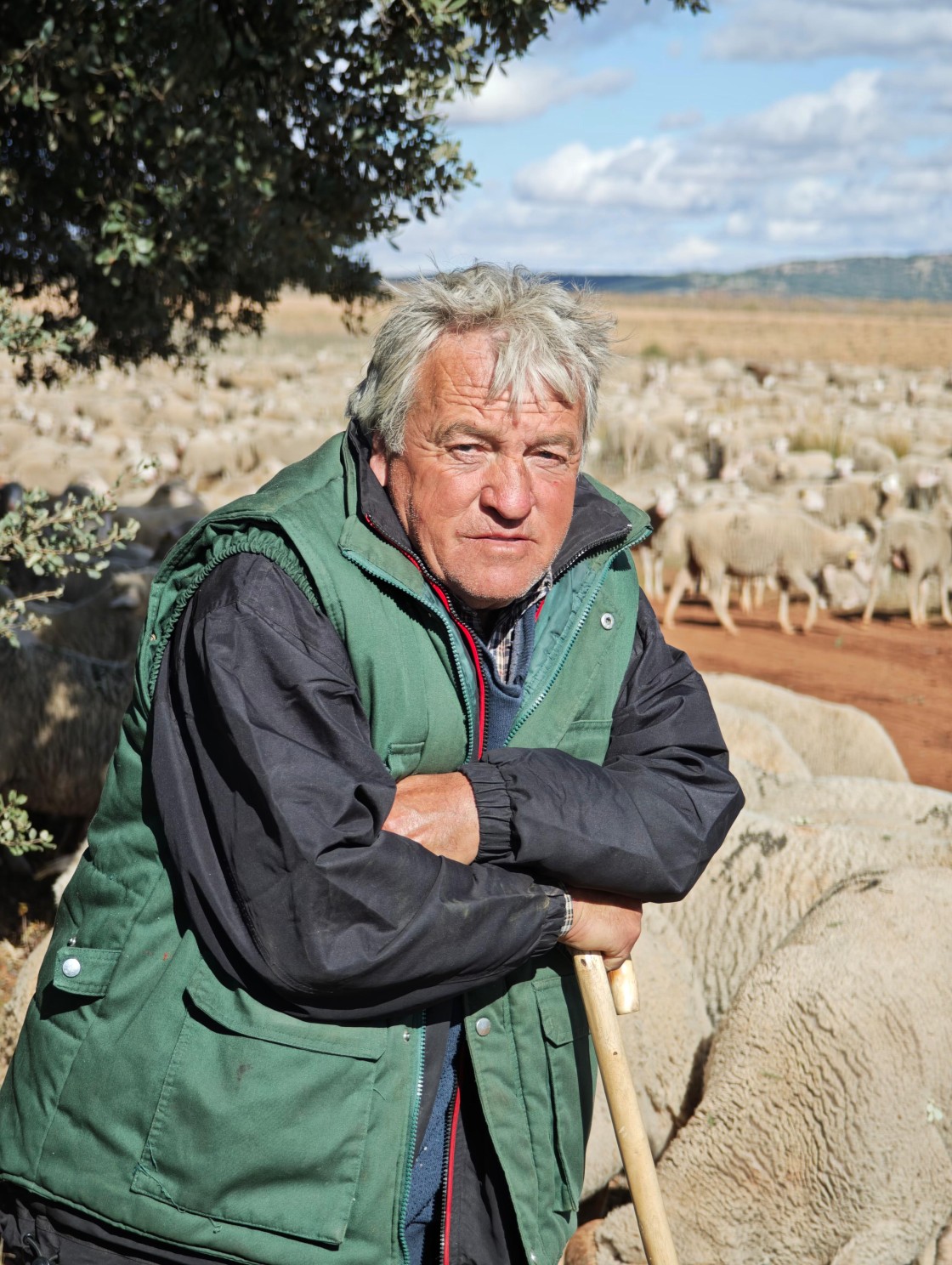 Ismael Martínez, pastor trashumante de Guadalaviar: “La trashumancia es como la hermana fea del pastoreo, no eres de ningún lado”