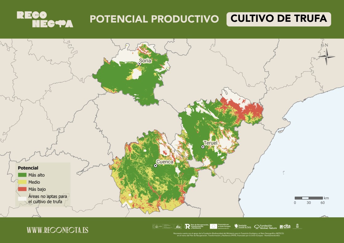 El CITA crea una herramienta que clasifica el potencial de los montes para bioeconomía