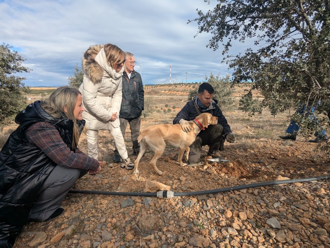 Cuéllar plantea que la IGP ayudará a mostrar el peso internacional de la trufa de Teruel