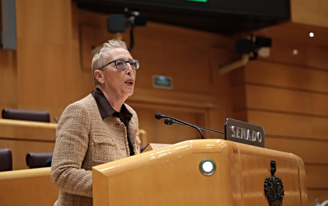 Villalba acusa al Gobierno de Azcón de 