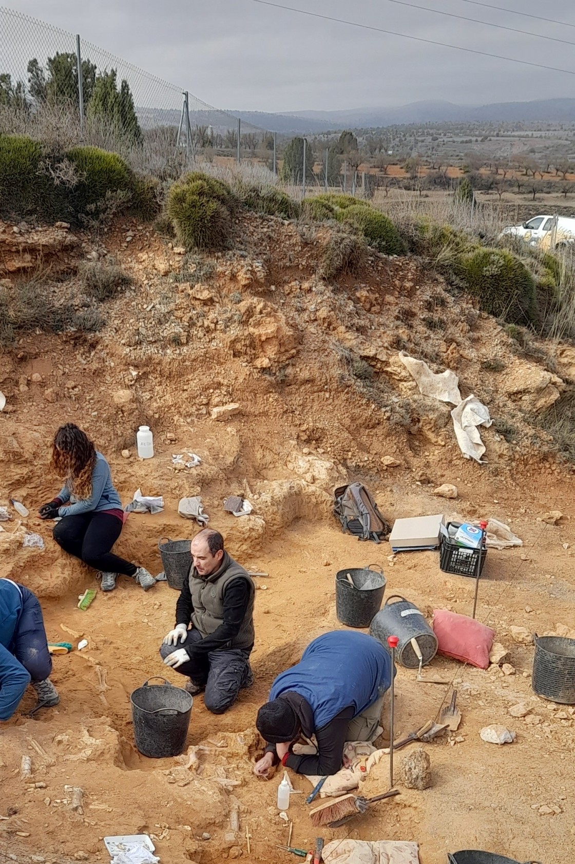 Dinópolis excava  más de 200 fósiles  de mamíferos en La Puebla de Valverde