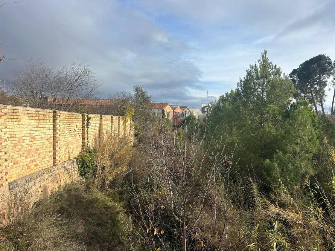 La primera actuación en el escorredor del Mangón de Alcañiz arrancará en mayo