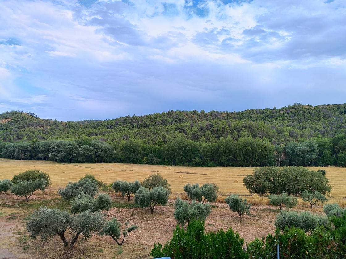 El CITA Teruel acoge el miércoles la jornada final del proyecto forestal Reconecta
