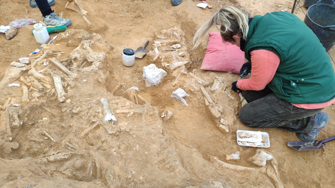 Las consecuencias de una terrible sequía de hace dos millones de años afloran en La Puebla de Valverde