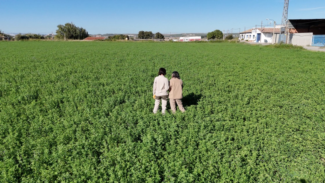“SARGA Emplea” consolida su estrategia para atraer talento un año después de su lanzamiento