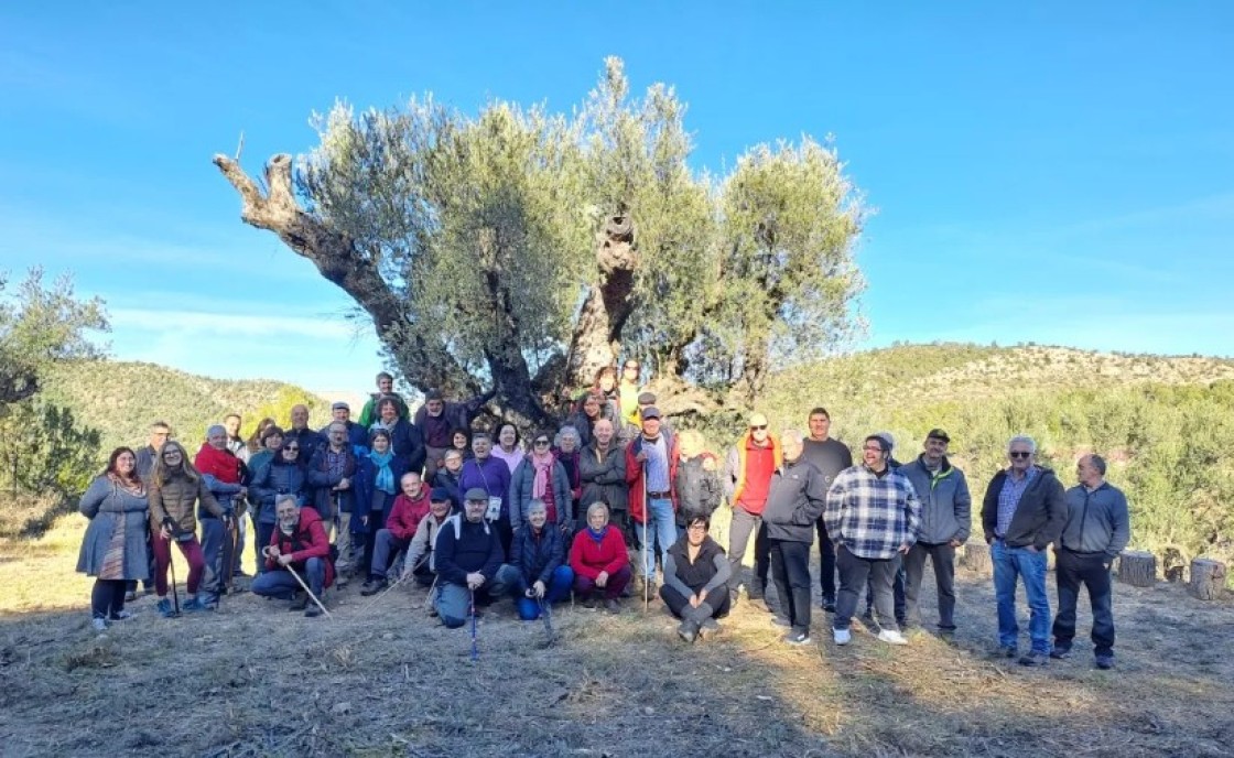 Tres propuestas turolenses entre los finalistas de los premios a la Mejor Experiencia Turística de Aragón