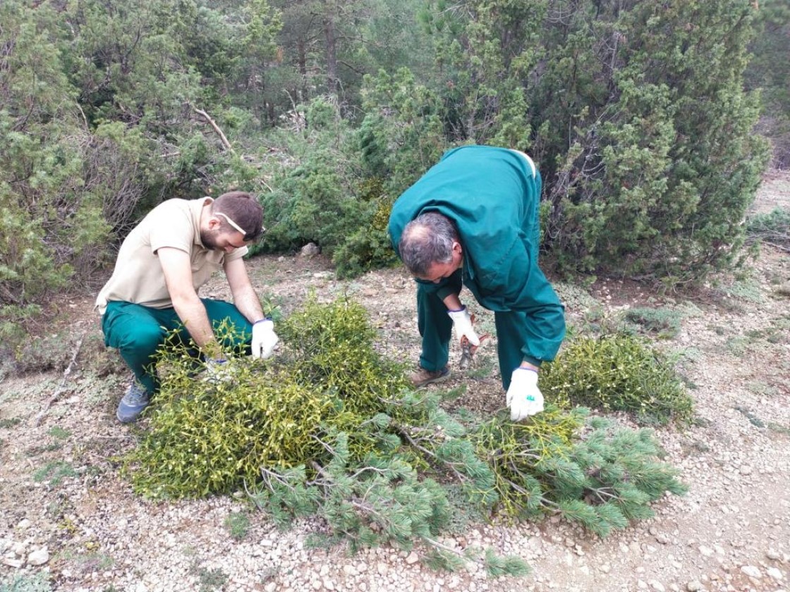 Las investigaciones del Fite llegan a campos y granjas  y repercuten en el bolsillo de agricultores y ganaderos