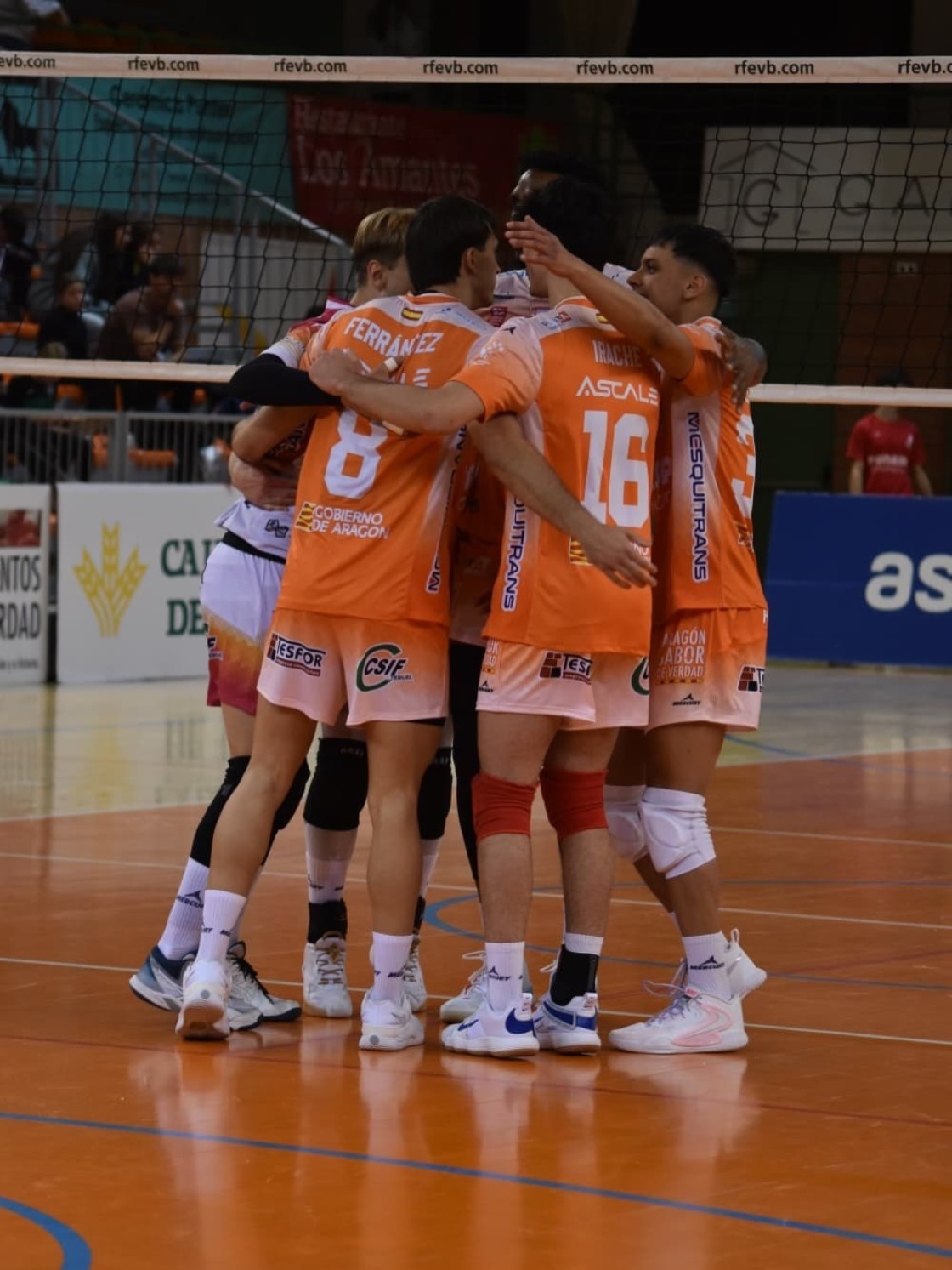 Pamesa Teruel aspira a ser el mejor equipo en la Gala del Deporte Aragonés