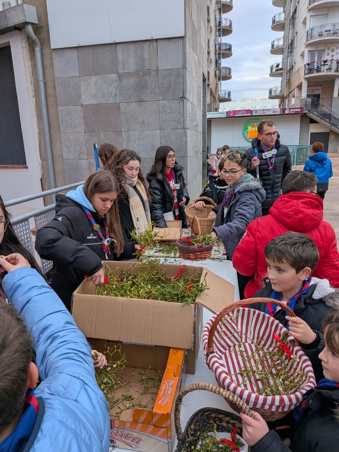 Medio centenar de niños de Alcañiz venden muérdago para causas sociales a través del grupo Scout