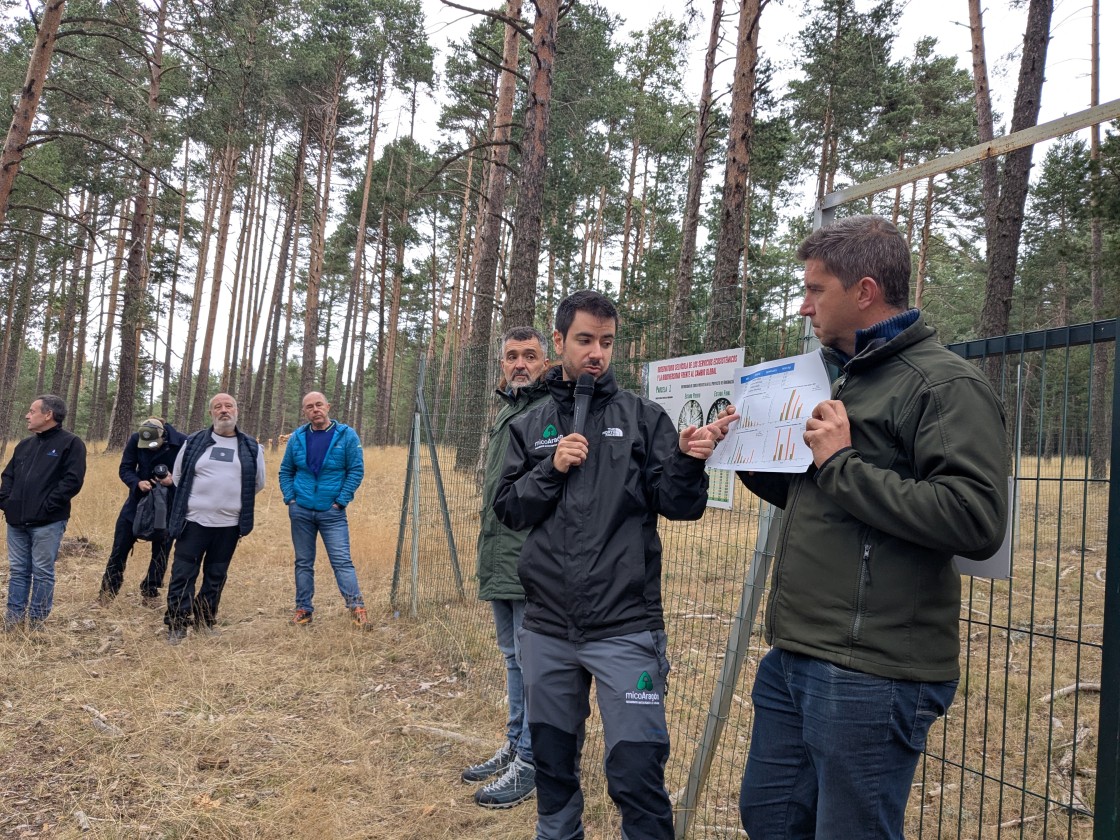El Puerto de Bronchales,  un laboratorio vivo donde ver cómo afecta la gestión forestal en la micología