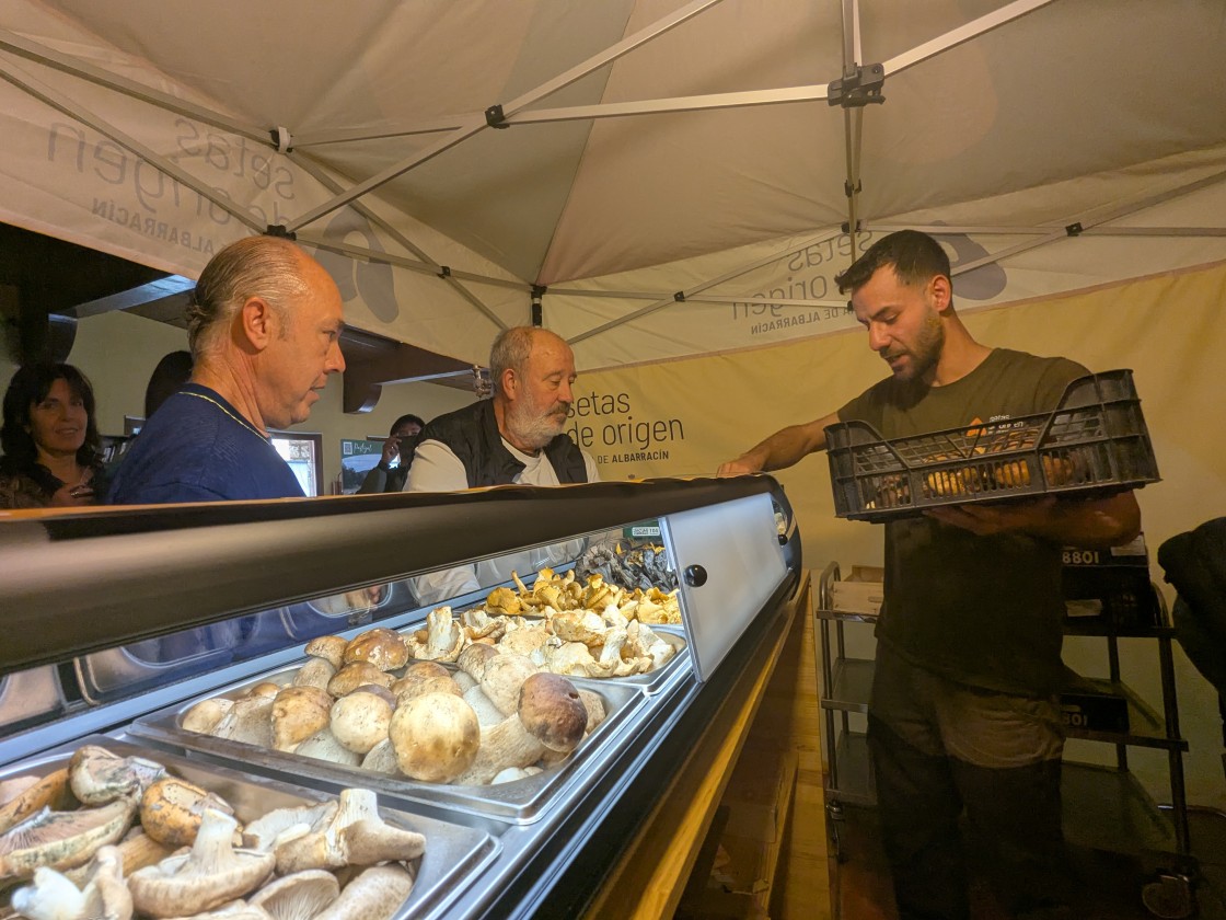 Fungiverso o los hongos como vertebrador de la economía rural