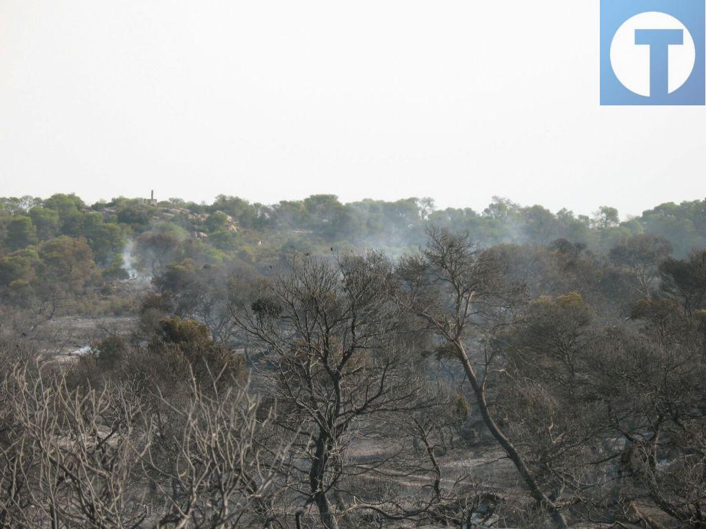 Ya son 60 las hectáreas quemadas en el incendio de Samper de Calanda